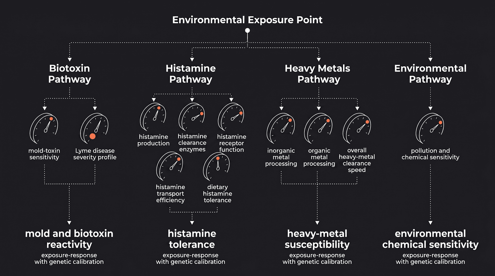Overview of the genes and pathways Mosaic's Toxin Sensitivities report covers