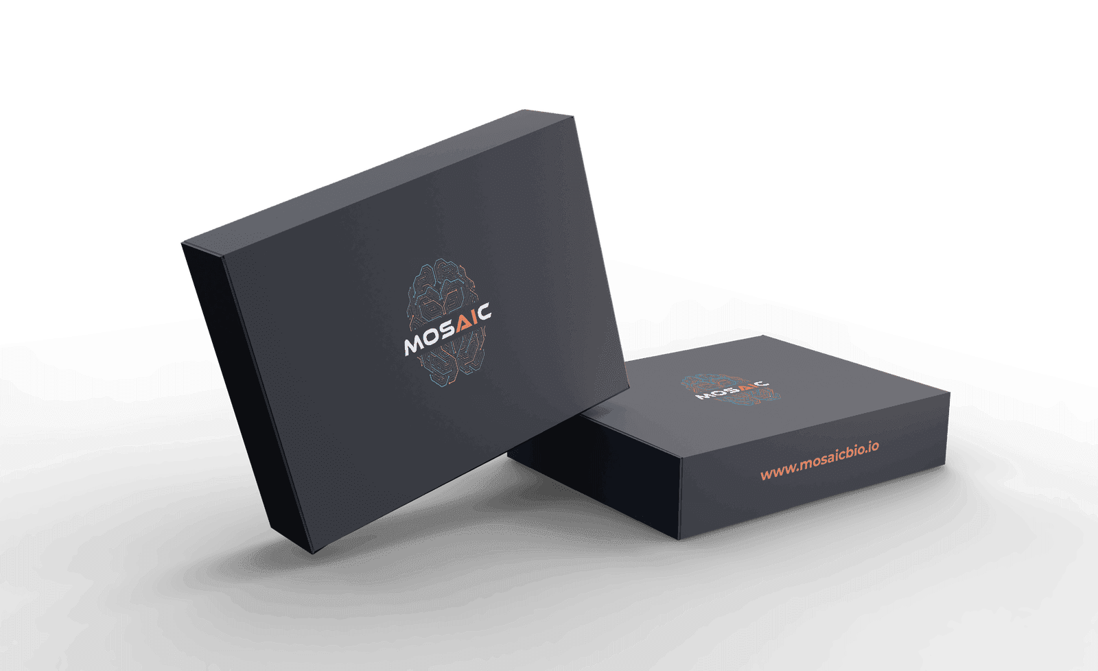 Mosaic kit box — dark navy with the Mosaic brain mark and wordmark