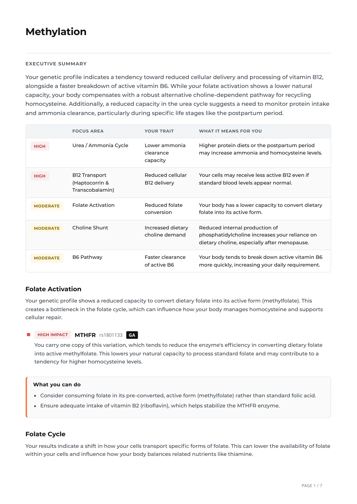 The first page of a Methylation deep-dive report