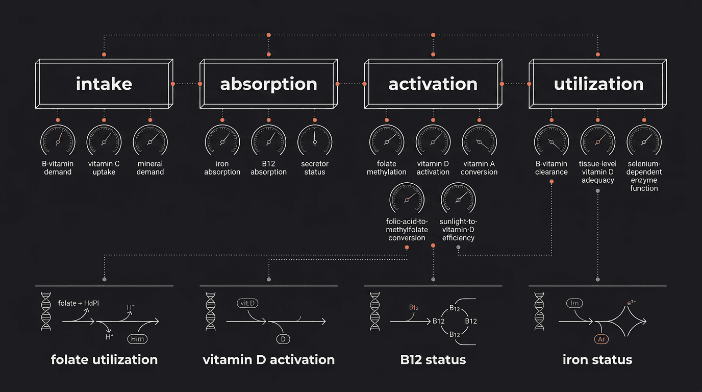 Overview of the genes and pathways Mosaic's Micronutrients and Strategic Supplementation report covers